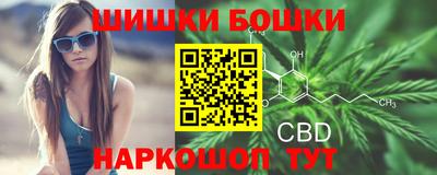 гашик Нарткала