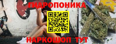 гашик Нарткала