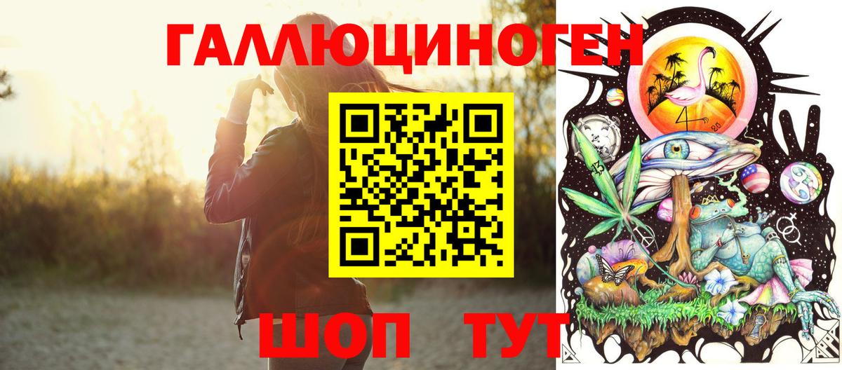 Псилоцибиновые грибы Cubensis  Вход с VPN  Шелехов  Псилоцибиновые грибы Psilocybe 